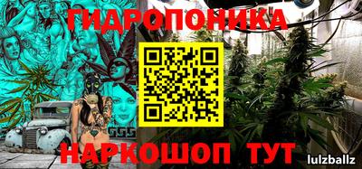 ГАЛЛЮЦИНОГЕННЫЕ ГРИБЫ Тверь