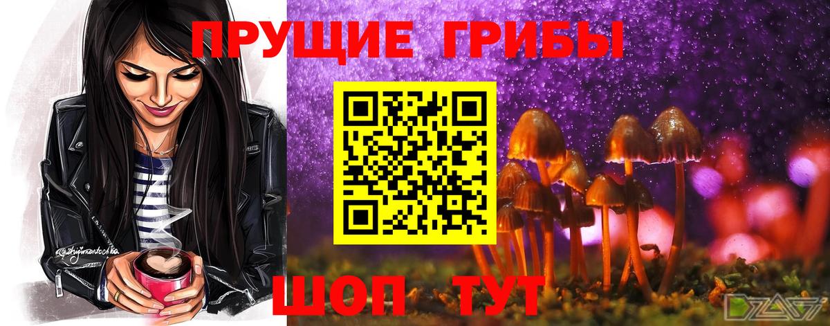 Галлюциногенные грибы GOLDEN TEACHER  Галлюциногенные грибы ЛСД  Вход с VPN  Черняховск 
